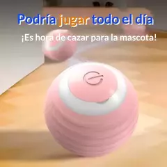 Imagen de Juguete Pelota Inteligente Gatos Interactiva Bola Usb