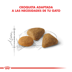 Alimento Royal Canin Exigent para Gatos Adultos en internet