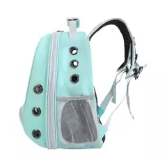 MOCHILA TRANSPARENTE GATO en internet