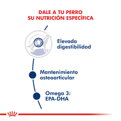 Alimento Royal Canin Maxi Adult para Perros Adultos Grandes en internet
