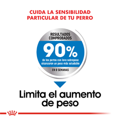 Alimento Royal Canin Maxi Weight Care para Perros Adultos Grandes con Exceso de Peso - comprar online