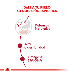 Alimento Royal Canin Medium Adult para Perros Adultos Medianos en internet