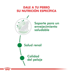 Alimento Royal Canin Mini Ageing 12+ para Perros Senior Pequeños 3Kg en internet