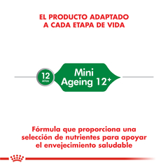 Alimento Royal Canin Mini Ageing 12+ para Perros Senior Pequeños - TotalPet