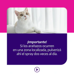 Feliway Classic Spay + REGALO en internet
