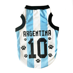 CAMISETA PASIÓN ARGENTINA