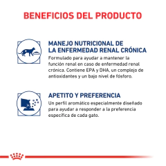 Alimento Royal Canin Renal para Gatos Adultos en internet