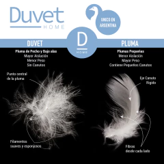 Imagen de Edredon Duvet 100% King