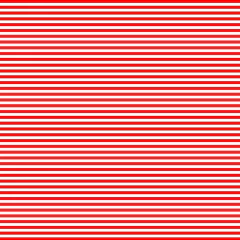 KIT 12 LONITAS ESCOLARES ( 25 X 40 CM ) na internet