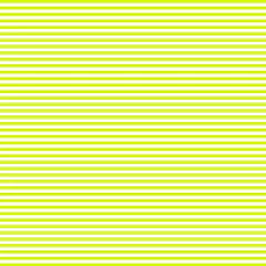 KIT 12 LONITAS ESCOLARES ( 25 X 40 CM ) - loja online