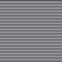 KIT 12 LONITAS ESCOLARES ( 25 X 40 CM ) - JC FITAS