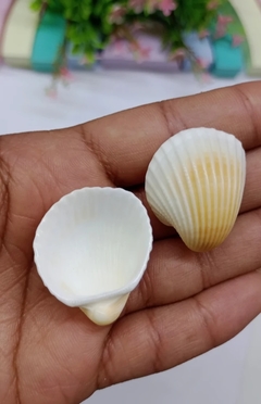 APLIQUE CONCHA DO MAR 2,5 CM ( 1 UNIDADE )