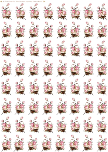 Lamina de Seda RV8CM