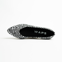 Zebra (MO)