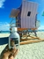 SHAMPOO HAIR BOTOX ultra nutritivo en internet