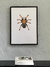 CUADRO ARAÑA SERIE BICHOS