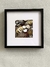 CUADRO FOTO MONEDAS - comprar online