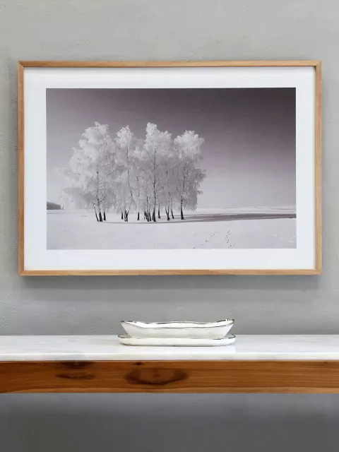 CUADRO PAISAJE ÁRBOLES