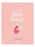 JOY IN THE LITTLE THINGS