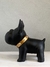 PERRO NEGRO - Salazar Casa