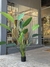 PLANTA REVENALA MEDIANO - comprar online