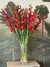 VARA DE GLADIOLO ROJO