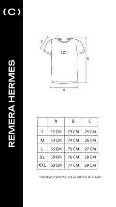 REMERA HERMES STEP VERDE CEMENTO - tienda online