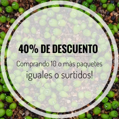 20 semillas de Astrophytum asterias 'Nishiki' - tienda online