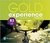 Gold Experience B2- 2nd- Class audio Cds