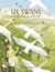 The Six Swans - Brothers Grimm - Audiobook