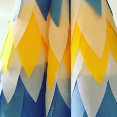 Alas vamos Argentina en internet