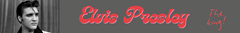 Banner da categoria Elvis Presley
