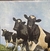 LP Pink Floyd - Atom Heart Mother ( Novo e Lacrado) na internet