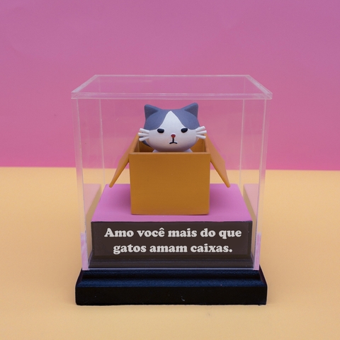 Miniatura - Gatinho na Caixa