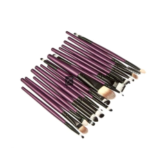 Set 20 Brochas en internet