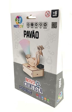 Pavão - Experiência Novo Cientista - comprar online