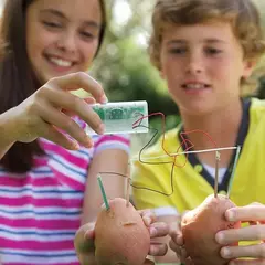 Relógio de Batata na internet