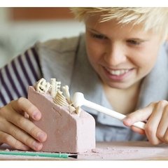 Kit de Paleontologia, Triceraptor, Escavação de fósseis e esqueleto, Brinquedo Educativo - Robótica Toys | Brinquedos Educativos