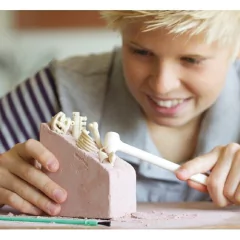 Kit de Paleontologia, Velociraptor, Escavação de fósseis e esqueleto, Brinquedo Educativo na internet