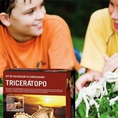 Imagem do Kit de Paleontologia, Triceraptor, Escavação de fósseis e esqueleto, Brinquedo Educativo