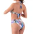 Conjunto de Biquíni Floral Colorido Cintura Baixa Cós Faixa Franzida