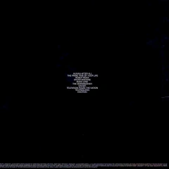 2xLP DAFT PUNK - HUMAN AFTER ALL na internet