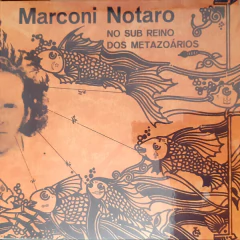 LP MARCONI NOTARO - NO SUB REINO DOS METAZOÁRIOS