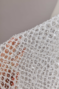 S0617 - RED BORDADA CON CANUTILLOS Y LENTEJUELAS - Sole Silva Telas de Novias ~ Bridal Fabrics