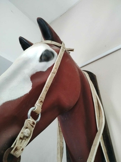 Cabezada y Rienda