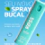 Spray Bucal Hálito Fresco Fresh & Go Classic Mint Kess 10ml Kess Fresh & Go Spray Bucal - comprar online
