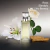 Perfume Eternity Eau De Parfum 100ml Feminino - Vivella's Store