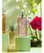 Jardin Rosa Damascena Ciclo Deo Colonia Feminina 100ml - comprar online