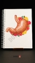 Cuaderno Estomago (Entrega Inmediata)