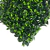 Jardín Vertical Gardenia (50x50) para interior y exterior